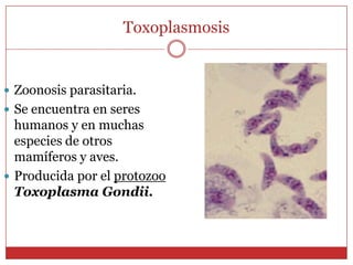 TOXOPLASMOSIS