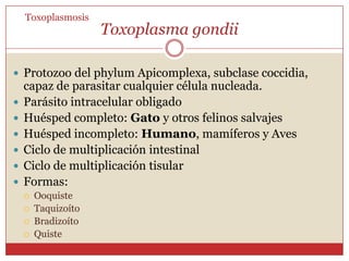 ToxoplasmosisZoonosis parasitaria.Se encuentra en seres humanos y en muchas especies de otros mamíferos y aves.Producida por el protozooToxoplasma Gondii.