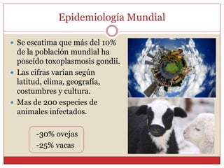 EpidemiologíaCaracterísticas Generales.Es cosmopolita.Mayor prevalencia:                   - poco higiene.                  - muchos gatos.                  - clima templado y húmedo.                  - forma de crianza de los animales.Higiene general.Climas muy fríos o calientes y secos no son favorables para el parásito.Existe una prevalencia mas baja en los niños, que aumenta hacia la adultez.Dependerá de los factores culturales de cada país.