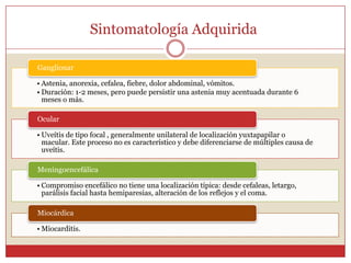 Sintomatología