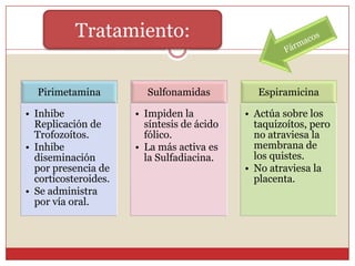 Casi la totalidad presentará secuelas (coriorretinitis y SNC).SintomatologíaCongénita