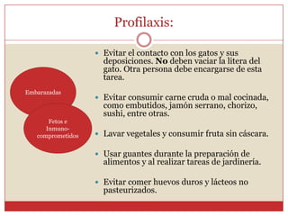 Profilaxis:	No existe un tratamiento farmacéutico 100% eficaz contra la Toxoplasmosis, por lo tanto, la prevención se vuelve un factor clave.¿Cómo podemos preservarnos de la Toxoplasmosis?Inmuno-competentesFetos e Inmuno-comprometidosEmbarazadas
