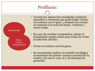 Profilaxis:Cuidar y alimentar adecuadamente a los gatos.Evitar el contacto con sus heces, ya que contienen quistes.Limpiar deposiciones de los gatos.Lavarse bien las manos antes de comer.Lavar exhaustivamente frutas y verduras.Control de plagas en basura (cucarachas, moscas).Evitar comer carnes crudas o semicrudas, incluso si antes de ser cocinadas estuvieron congeladas.Inmuno-competentes