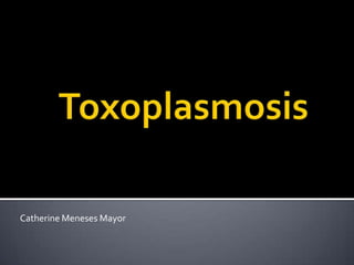 Toxoplasmosis Catherine Meneses Mayor 