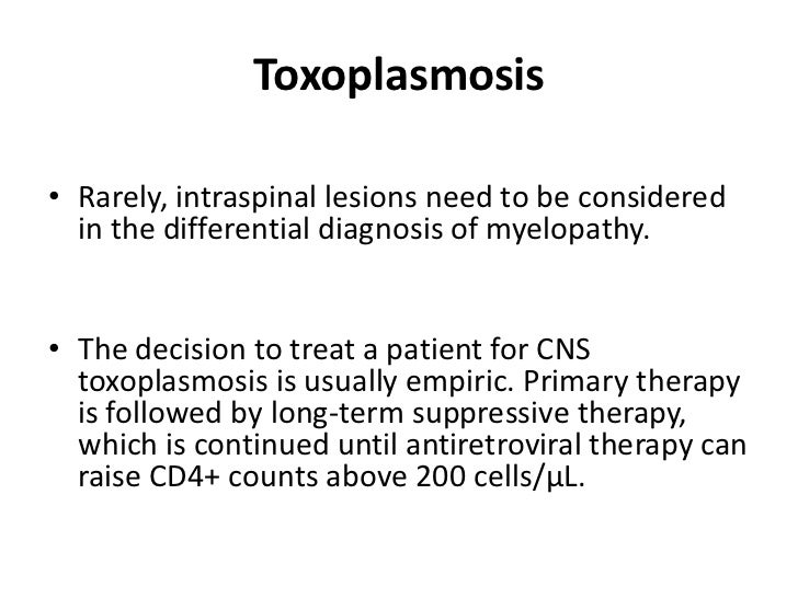 Toxoplasmosis Cats How Long In System Toxoplasmosis Cats How Long In System