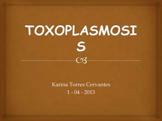 Karina Torres Cervantes
      1 - 04 - 2013
 