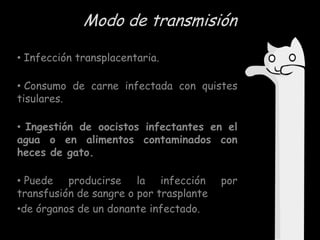 Modo de transmisión
• Infección transplacentaria.
• Consumo de carne infectada con quistes
tisulares.
• Ingestión de oocistos infectantes en el
agua o en alimentos contaminados con
heces de gato.
• Puede producirse la infección
transfusión de sangre o por trasplante
•de órganos de un donante infectado.

por

 