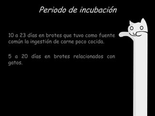 Periodo de incubación
10 a 23 días en brotes que tuvo como fuente
común la ingestión de carne poco cocida.
5 a 20 días en brotes relacionados con
gatos.

 