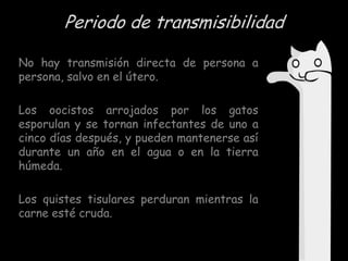 Periodo de transmisibilidad
No hay transmisión directa de persona a
persona, salvo en el útero.
Los oocistos arrojados por los gatos
esporulan y se tornan infectantes de uno a
cinco días después, y pueden mantenerse así
durante un año en el agua o en la tierra
húmeda.

Los quistes tisulares perduran mientras la
carne esté cruda.

 
