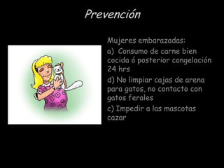 Prevención
Mujeres embarazadas:
a) Consumo de carne bien
cocida ó posterior congelación
24 hrs
d) No limpiar cajas de arena
para gatos, no contacto con
gatos ferales
c) Impedir a las mascotas
cazar

 