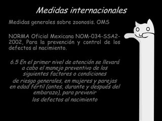 Medidas internacionales
Medidas generales sobre zoonosis. OMS
NORMA Oficial Mexicana NOM-034-SSA22002, Para la prevención y control de los
defectos al nacimiento.

6.5 En el primer nivel de atención se llevará
a cabo el manejo preventivo de los
siguientes factores o condiciones
de riesgo generales, en mujeres y parejas
en edad fértil (antes, durante y después del
embarazo), para prevenir
los defectos al nacimiento

 