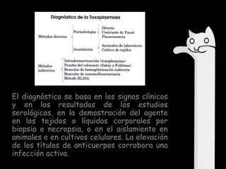 El diagnóstico se basa en los signos clínicos
y en los resultados de los estudios
serológicos, en la demostración del agente
en los tejidos o líquidos corporales por
biopsia o necropsia, o en el aislamiento en
animales o en cultivos celulares. La elevación
de los títulos de anticuerpos corrobora una
infección activa.

 