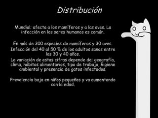 Distribución
Mundial; afecta a los mamíferos y a las aves. La
infección en los seres humanos es común.
En más de 300 especies de mamíferos y 30 aves.
Infección del 40 al 50 % de los adultos sanos entre
los 30 y 40 años.
La variación de estas cifras depende de; geografía,
clima, hábitos alimentarios, tipo de trabajo, higiene
ambiental y presencia de gatos infectados.
Prevalencia baja en niños pequeños y va aumentando
con la edad.

 