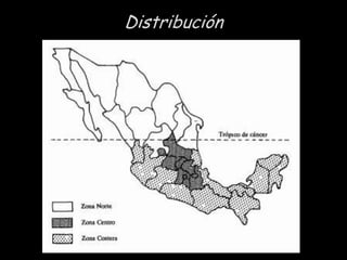 Distribución

 