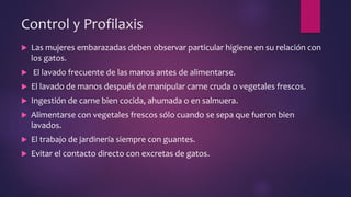 Control y Profilaxis
 Las mujeres embarazadas deben observar particular higiene en su relación con
los gatos.
 El lavado frecuente de las manos antes de alimentarse.
 El lavado de manos después de manipular carne cruda o vegetales frescos.
 Ingestión de carne bien cocida, ahumada o en salmuera.
 Alimentarse con vegetales frescos sólo cuando se sepa que fueron bien
lavados.
 El trabajo de jardinería siempre con guantes.
 Evitar el contacto directo con excretas de gatos.
 