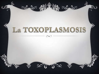La Toxoplasmosis