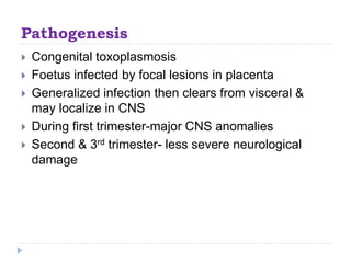Pathogenesis
 Congenital toxoplasmosis
 Foetus infected by focal lesions in placenta
 Generalized infection then clears from visceral &
may localize in CNS
 During first trimester-major CNS anomalies
 Second & 3rd trimester- less severe neurological
damage
 
