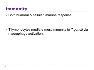 Immunity
 Both humoral & cellular immune response
 T lymphocytes mediate most immunity to T.gondii via
macrophage activation.
 