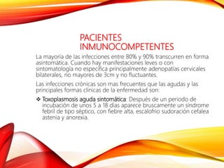 PACIENTES
INMUNOCOMPETENTES
La mayoría de las infecciones entre 80% y 90% transcurren en forma
asintomática. Cuando hay manifestaciones leves o con
sintomatología no especifica principalmente adenopatías cervicales
bilaterales, no mayores de 3cm y no fluctuantes.
Las infecciones crónicas son mas frecuentes que las agudas y las
principales formas clínicas de la enfermedad son:
 Toxoplasmosis aguda sintomática: Después de un periodo de
incubación de unos 5 a 18 días aparece bruscamente un síndrome
febril de tipo séptico, con fiebre alta, escalofrio sudoración cefalea
astenia y anorexia.
 