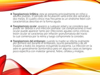  Toxoplasmosis linfática: esta se presenta principalmente en niños y
adultos jóvenes. El periodo de incubación varia entre dos semanas y
dos meses. El cuadro clínico mas frecuente es un síndrome febril con
características descritas en la forma aguda.
 Toxoplasmosis ocular: aparece a cualquier edad y se considera que
puede ser debida a una infección prenatal. Las complicaciones a nivel
ocular puede aparecer tanto por infecciones agudas como crónicas.
lesión ocular se caracteriza por inflación granulomatosa del tracto
la cual comienza por la retina y luego compromete la coroides.
 Toxoplasmosis del embarazo: cuando la madre se infecta oralmente
por primera vez durante el embarazo, ocurre parasitemía y de allí
invasión a todos los órganos incluyendo la placenta. La infección en la
adre es generalmente asintomática pero en algunos casos es benigna
poco especifica con malestar general, fiebre, cefalea y mialgias.
 