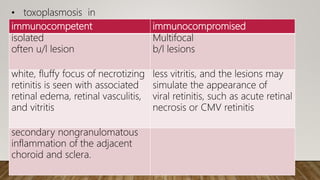 immunocompetent immunocompromised
isolated
often u/l lesion
Multifocal
b/l lesions
white, fluffy focus of necrotizing
retinitis is seen with associated
retinal edema, retinal vasculitis,
and vitritis
less vitritis, and the lesions may
simulate the appearance of
viral retinitis, such as acute retinal
necrosis or CMV retinitis
secondary nongranulomatous
inflammation of the adjacent
choroid and sclera.
• toxoplasmosis in
 