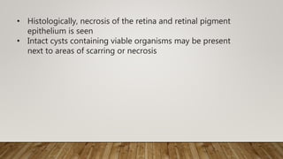 • Histologically, necrosis of the retina and retinal pigment
epithelium is seen
• Intact cysts containing viable organisms may be present
next to areas of scarring or necrosis
 