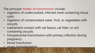 The principal modes of transmission include
• ingestion of undercooked, infected meat containing tissue
cysts
• ingestion of contaminated water, fruit, or vegetables with
oocysts
• inadvertent contact with cat feaces, cat litter, or soil
containing oocysts
• transplacental transmission with primary infection during
pregnancy
• blood transfusion
• organ transplantation
 
