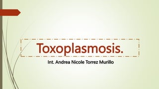 Toxoplasmosis.
Int. Andrea Nicole Torrez Murillo
 