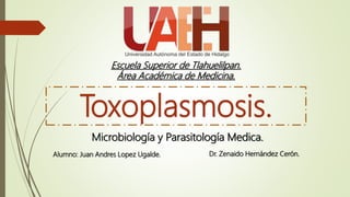 Escuela Superior de Tlahuelilpan.
Área Académica de Medicina.
Toxoplasmosis.
Microbiología y Parasitología Medica.
Alumno: Juan Andres Lopez Ugalde. Dr. Zenaido Hernández Cerón.
 