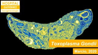 Toxoplasma Gondii
Marcio, 2020
 