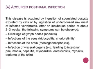(A) ACQUIRED POSTNATAL INFECTION
This disease is acquired by ingestion of sporulated oocysts
excreted by cats or by ingestion of undercooked raw meat
of infected vertebrates. After an incubation period of about
2–3 weeks, the following symptoms can be observed:
– Swellings of lymph nodes (adenitis)
– Infections of the eyes (iridocyclitis, chorioretinitis)
– Infections of the brain (meningoencephalitis),
– Infection of visceral organs (e.g. leading to intestinal
pneumonia, hepatitis, myocarditis, enterocolitis, myositis,
oedema of the skin)
 