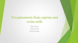 Toxoplasmosis from caprine and
ovine milk
Maria Nawaz
2018-ag-1094
M.Phil. Zoology
 