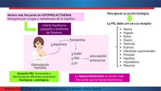 Para ejercer su acción biológica
Secreción PRL: Aumentada o
disminuida en diferentes situaciones
fisiológicas o patológicas.
Motivo más frecuente de HIPOPROLACTINEMIA
Iatrogenia por cirugía o radioterapia de la hipófisis.
La hiperprolactinemia es mucho más
frecuente que la hipoprolactinemia.
Infarto hipofisario
posparto o síndrome
de Sheehan.
La PRL debe unir se a su receptor
 Mama
 Hígado
 Riñón
 Ovario
 Testículo
 Pulmón
 Glándulas suprarrenales
 Próstata
 Hipófisis
 Hipotálamo
 Placenta
Roberto Testa. Ginecología. Fundamentos para la práctica clínica (2012)
 