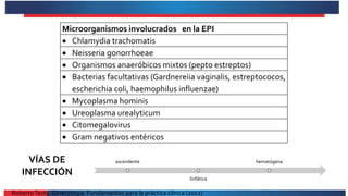 Microorganismos involucrados en la EPI
 Chlamydia trachomatis
 Neisseria gonorrhoeae
 Organismos anaeróbicos mixtos (pepto estreptos)
 Bacterias facultativas (Gardnereiia vaginalis, estreptococos,
escherichia coli, haemophilus influenzae)
 Mycoplasma hominis
 Ureoplasma urealyticum
 Citomegalovirus
 Gram negativos entéricos
ascendente
linfática
hematógena
VÍAS DE
INFECCIÓN
RobertoTesta. Ginecología. Fundamentos para la práctica clínica (2012)
 