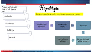 Colonización inicial
de endocérvix por
vía:
canalicular
intersticial
linfática
venosa
Compromiso de los genitales internos y las estructuras vecinas
endometritis -
salpingitis
absceso tubo
ovárico
peritonitis
flemón del tejido
celular pelviano
tromboflebitis
pelviana
RobertoTesta. Ginecología. Fundamentos para la práctica clínica (2012)
 