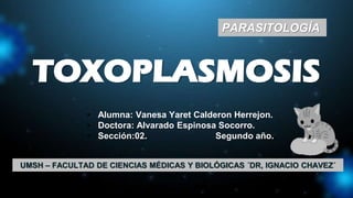 TOXOPLASMOSIS
• Alumna: Vanesa Yaret Calderon Herrejon.
• Doctora: Alvarado Espinosa Socorro.
• Sección:02. Segundo año.
PARASITOLOGÍA
UMSH – FACULTAD DE CIENCIAS MÉDICAS Y BIOLÓGICAS ´DR, IGNACIO CHAVEZ´
 