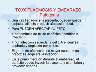 TOXOPLASMOSIS Y EMBARAZO Patogenia Una vez llegados a la placenta, pueden quedar alojados allí, sin producir afectación fetal. Pero PUEDEN AFECTAR AL FETO:  + por embolia de tejido coriónico necrótico e  infectado.  + por infección secundaria del L.A el cual es aspirado y deglutido por el feto. El grado de afectación es mayor cuanto más precoz se adquiere la infección En la primoinfección durante el embarazo, el parásito puede invadir la placenta y el embrión y provocar abortos. 