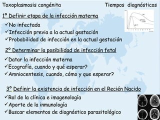 Toxoplasmosis congénita 1º Definir etapa de la infección materna No infectada   Infección previa a la actual gestación Probabilidad de infección en la actual gestación 2º Determinar la posibilidad de infección fetal Datar la infección materna Ecografía, cuando y qué esperar? Amniocentesis, cuando, cómo y que esperar?   Tiempos  diagnósticos 3º   Definir la existencia de infección en el Recién Nacido Rol de la clínica e imagenología Aporte de la inmunología Buscar elementos de diagnóstico parasitológico   