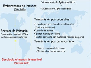 Embarazadas no inmunes (30 – 80%) Prevención Primaria Puede evitar hasta el 60%de  las toxoplasmosis maternas Ausencia de Ac IgG específicos   + Ausencia de IgM específica Transmisión por ooquistes Lavado por arrastre de los alimentos  (frutas y verduras) Lavado de manos Evitar manipular tierra Evitar contacto con materias fecales de gatos Transmisión por carnivorismo Buena cocción de la carne Evitar chacinados caceros + Serología al menos trimestral (Normas MSP) 
