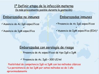 Embarazadas no inmunes Ausencia de Ac IgG específicos   + Ausencia de IgM específica Embarazadas inmunes Presencia de Ac IgG específicos  +  Ausencia de IgM específica (EIA)  2 1   Posibilidad de competencia IgG vs IgM con los métodos clásicos 2  La persistencia de las IgM por estos métodos es de 1 año aproximadamente 1º Definir etapa de la infección materna (lo más precozmente posible durante la gestación) Embarazadas con serología de riesgo Presencia de Ac específicos de tipo IgG e IgM Presencia de Ac. IgG > 300 UI/ml 