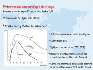 Embarazadas con serología de riesgo Presencia de Ac específicos de tipo IgG e IgM Presencia de Ac. IgG > 300 UI/ml 1º Confirmar y Datar la infección Solicitar un nuevo estudio serológico. Cuantificar IgG IgM por dos técnicas (IFI, EIA). Recurrir eventualmente a técnicas complementarias (test de Avidez) Correcta anamnesis clínica que permite datar la infección en 20% de los casos. 