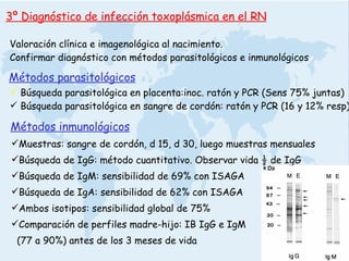 3º Diagnóstico de infección toxoplásmica en el RN Métodos parasitológicos Métodos inmunológicos Búsqueda parasitológica en placenta:inoc. ratón y PCR (Sens 75% juntas) Búsqueda parasitológica en sangre de cordón: ratón y PCR (16 y 12% resp) Muestras: sangre de cordón, d 15, d 30, luego muestras mensuales Búsqueda de IgG: método cuantitativo. Observar vida ½ de IgG Búsqueda de IgM: sensibilidad de 69% con ISAGA Búsqueda de IgA: sensibilidad de 62% con ISAGA Ambos isotipos: sensibilidad global de 75% Comparación de perfiles madre-hijo: IB IgG e IgM  (77 a 90%) antes de los 3 meses de vida Valoración clínica e imagenológica al nacimiento. Confirmar diagnóstico con métodos parasitológicos e inmunológicos 