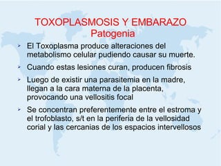 TOXOPLASMOSIS Y EMBARAZO Patogenia El Toxoplasma produce alteraciones del metabolismo celular pudiendo causar su muerte. Cuando estas lesiones curan, producen fibrosis Luego de existir una parasitemia en la madre, llegan a la cara materna de la placenta, provocando una vellositis focal Se concentran preferentemente entre el estroma y el trofoblasto, s/t en la periferia de la vellosidad corial y las cercanias de los espacios intervellosos 