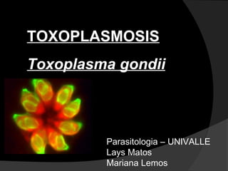 TOXOPLASMOSIS 
Toxoplasma gondii 
Parasitologia – UNIVALLE 
Lays Matos 
Mariana Lemos 
 