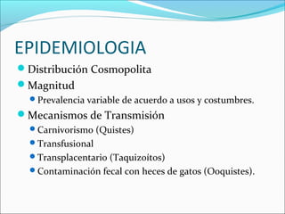 EPIDEMIOLOGIA
Distribución Cosmopolita
Magnitud
Prevalencia variable de acuerdo a usos y costumbres.
Mecanismos de Transmisión
Carnivorismo (Quistes)
Transfusional
Transplacentario (Taquizoítos)
Contaminación fecal con heces de gatos (Ooquistes).
 
