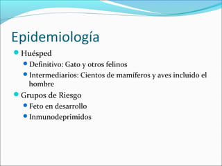Epidemiología
Huésped
Definitivo: Gato y otros felinos
Intermediarios: Cientos de mamíferos y aves incluido el
hombre
Grupos de Riesgo
Feto en desarrollo
Inmunodeprimidos
 