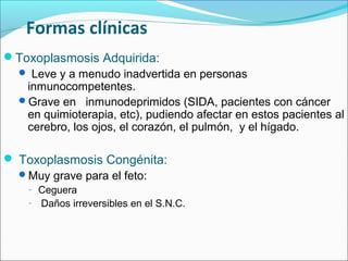 Formas clínicas
Toxoplasmosis Adquirida:
 Leve y a menudo inadvertida en personas
inmunocompetentes.
Grave en inmunodeprimidos (SIDA, pacientes con cáncer
en quimioterapia, etc), pudiendo afectar en estos pacientes al
cerebro, los ojos, el corazón, el pulmón, y el hígado.
 Toxoplasmosis Congénita:
Muy grave para el feto:
- Ceguera
- Daños irreversibles en el S.N.C.
 