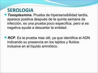 SEROLOGIA
Toxoplasmina. Prueba de hipersensibilidad tardía,
aparece positiva después de la quinta semana de
infección, es una prueba poco específica, pero si es
negativa ayuda a descartar la entidad.
RCP. Es la prueba mas útil, ya que identifica el ADN
indicando su presencia en los tejidos y fluidos
inclusive en el líquido amniótico.
 