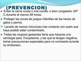 (PREVENCION)
• Evitar la carne cruda o mal cocida, o bien congelarla -20º
C durante al menos 48 horas.
• Proteger las zonas de juegos infantiles de las heces de
gatos y perros.
 Lavado de manos minucioso tras contacto con suelo que
haya podido estar contaminado.
• Todas las mujeres gestantes tiene que hacerse una
serología para Toxoplasma, y las que la tengan negativa,
tomar precauciones especiales para no contraerla durante
su embarazo,
 