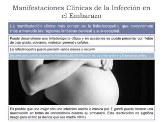 Manifestaciones Clínicas de la Infección en
el Embarazo
La manifestación clínica más común es la linfadenopatía, que compr...
